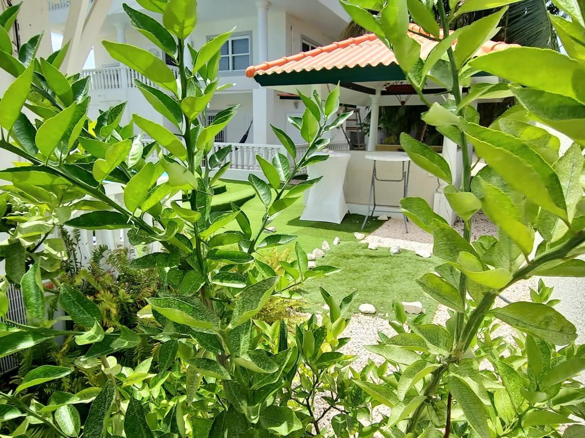 Adonai Hotel Boutique ウィレムスタッド エクステリア 写真
